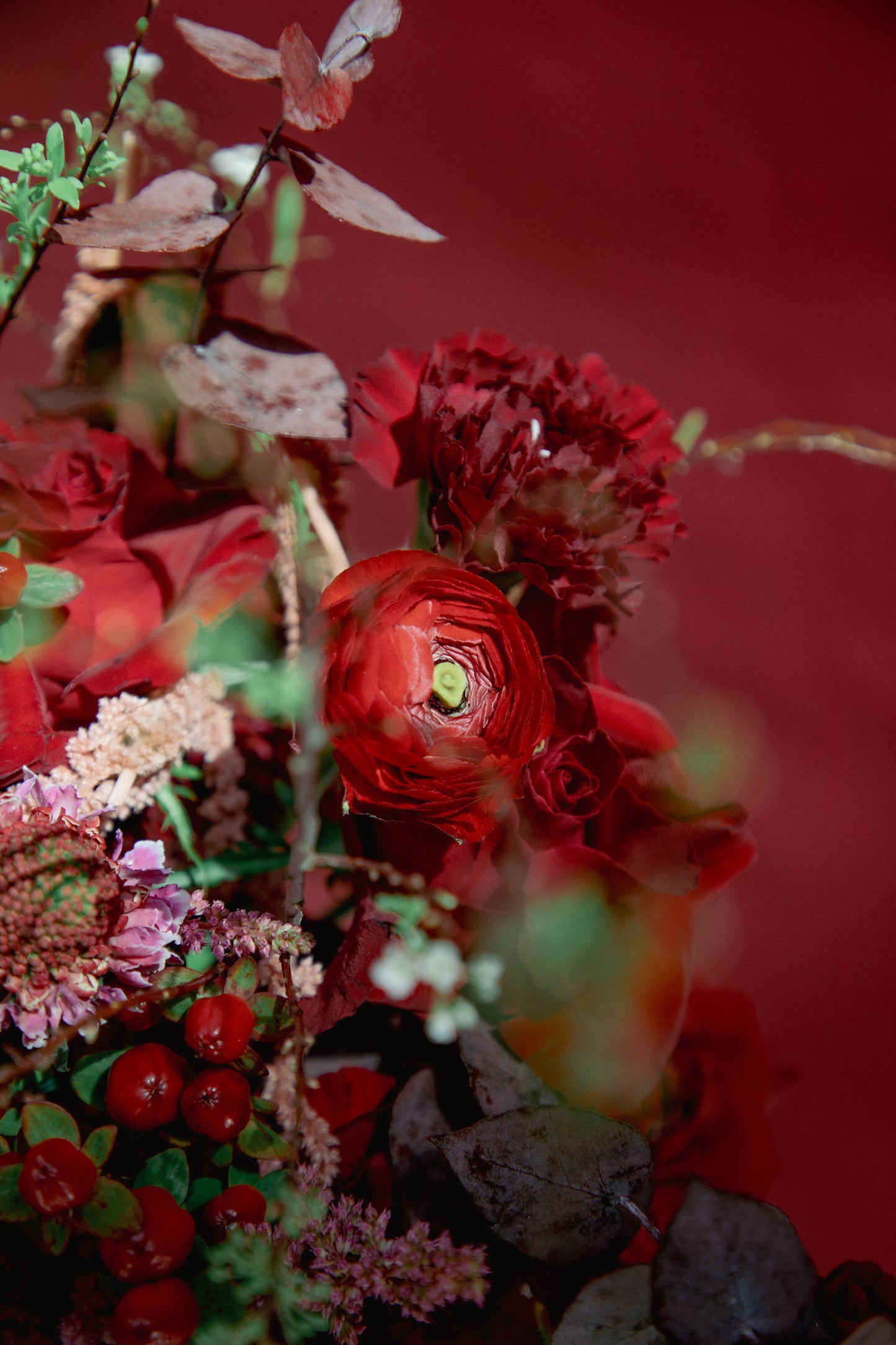 Scarlet Love