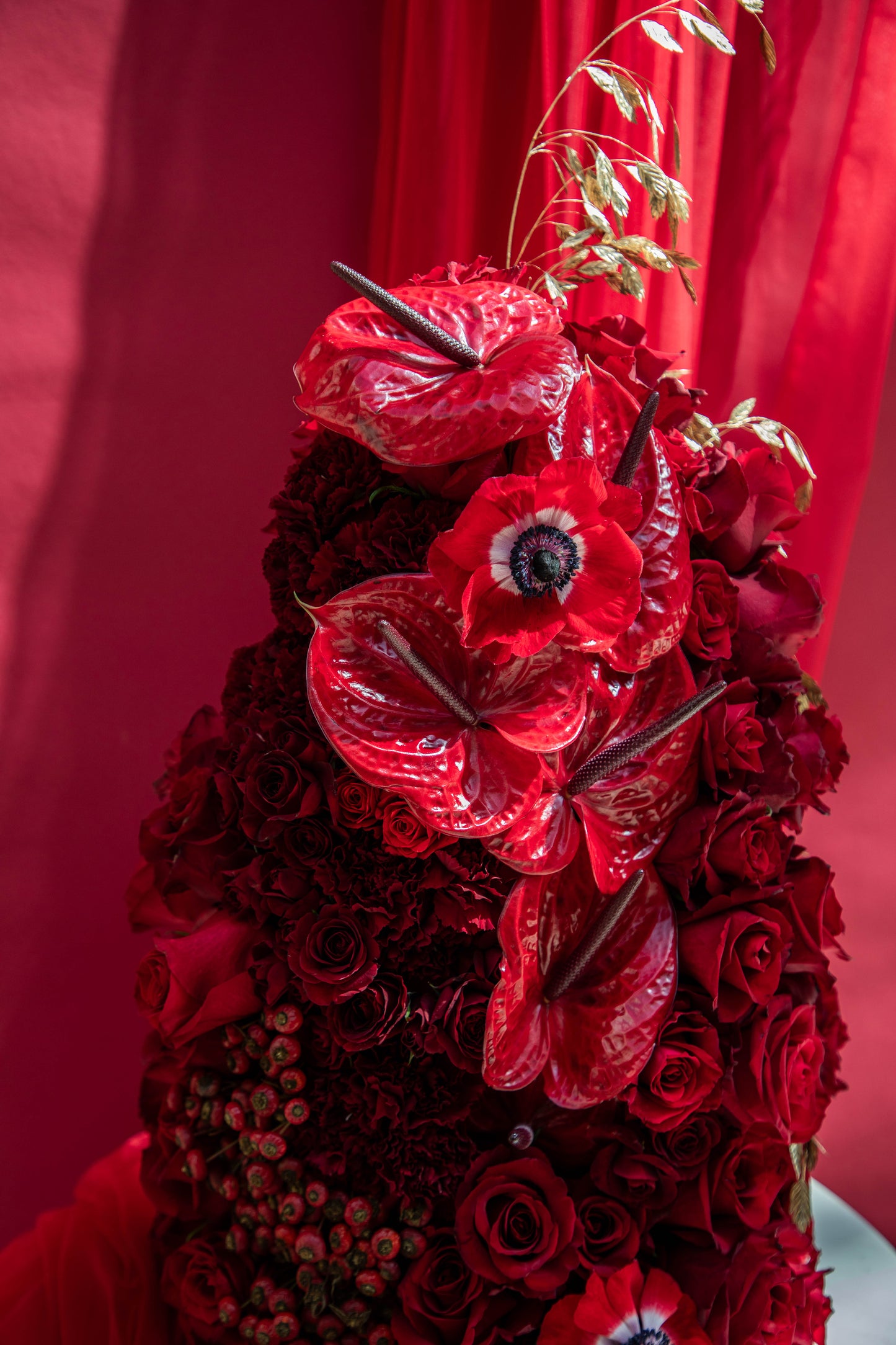Ruby Radiance Flowerbomb