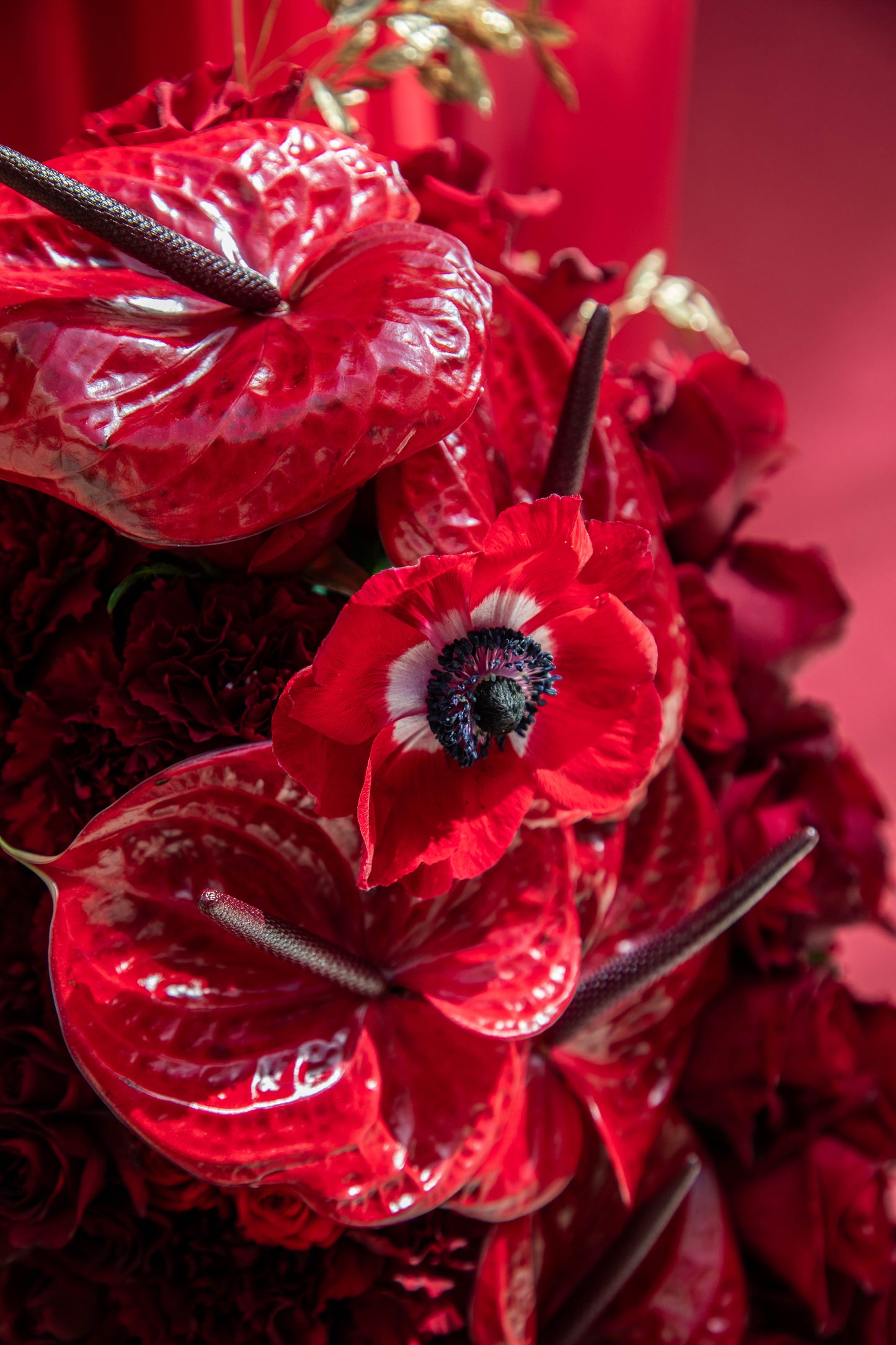 Ruby Radiance Flowerbomb