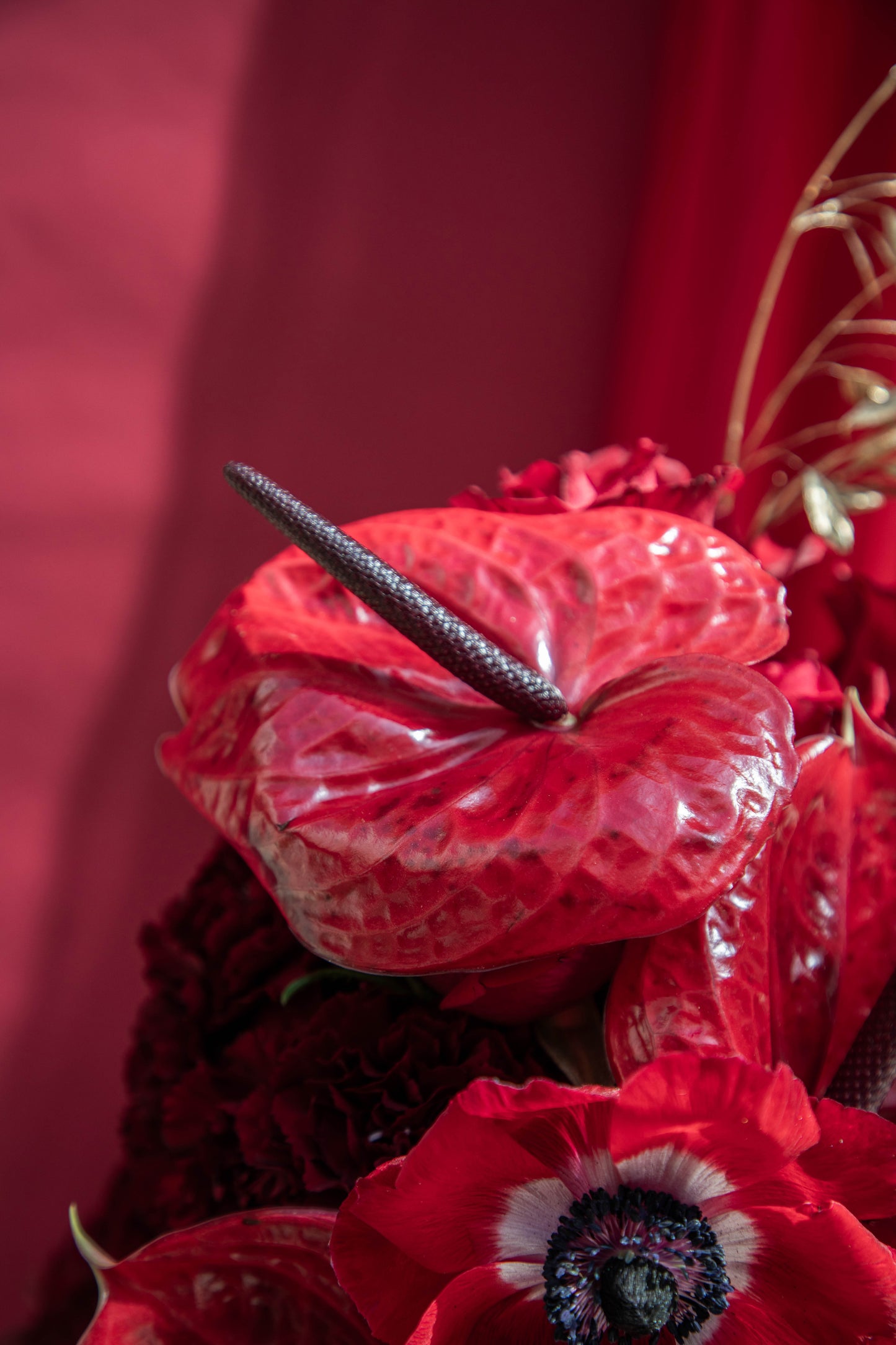 Ruby Radiance Flowerbomb
