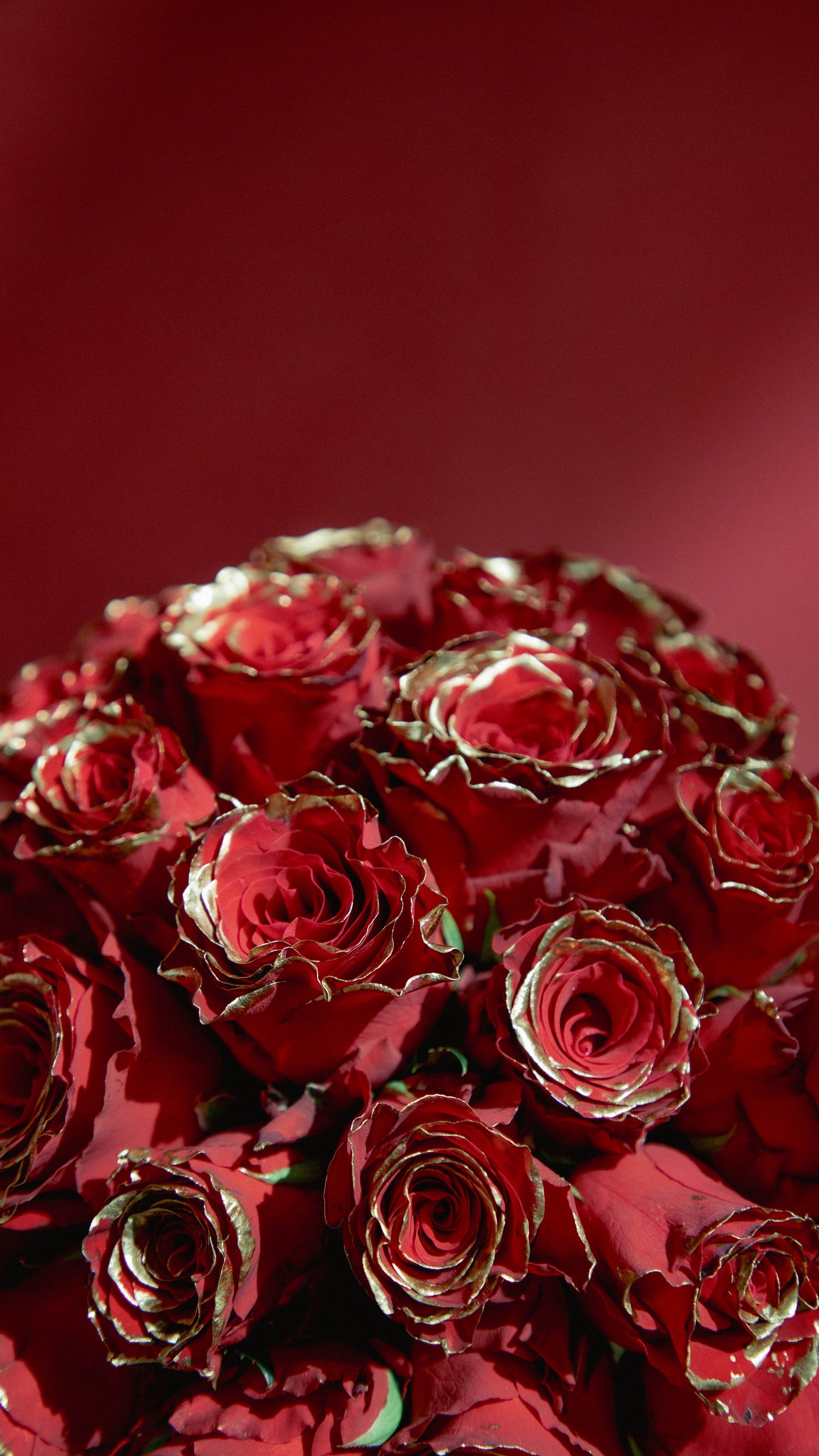 Gold Dipped Roses