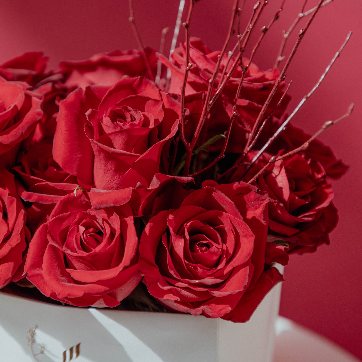 Roses & Stems