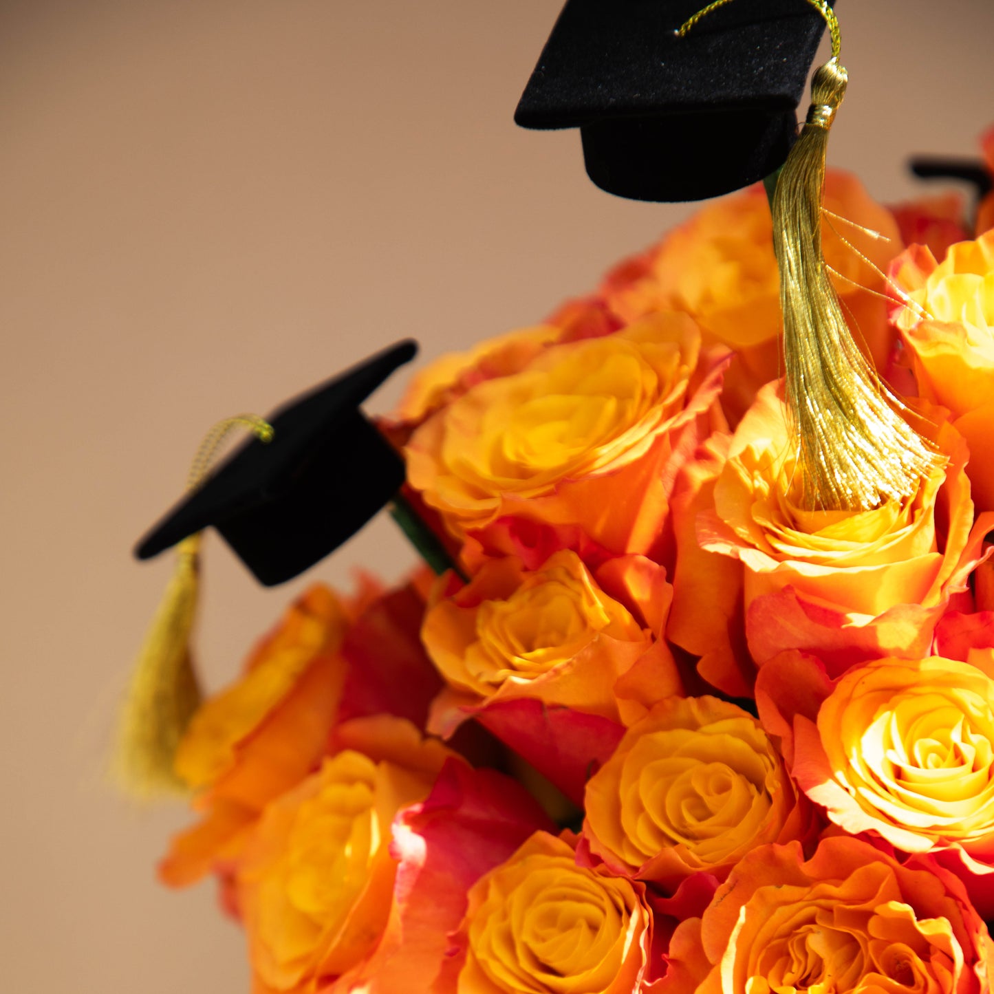 Graduation Arrangement