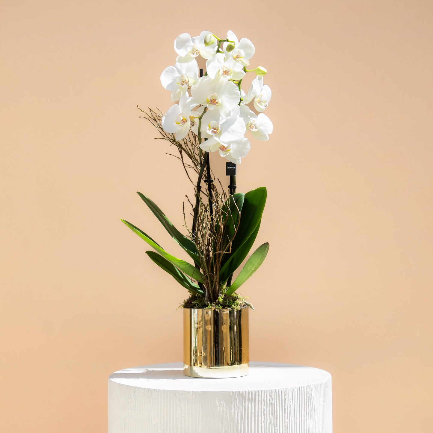 White Bliss