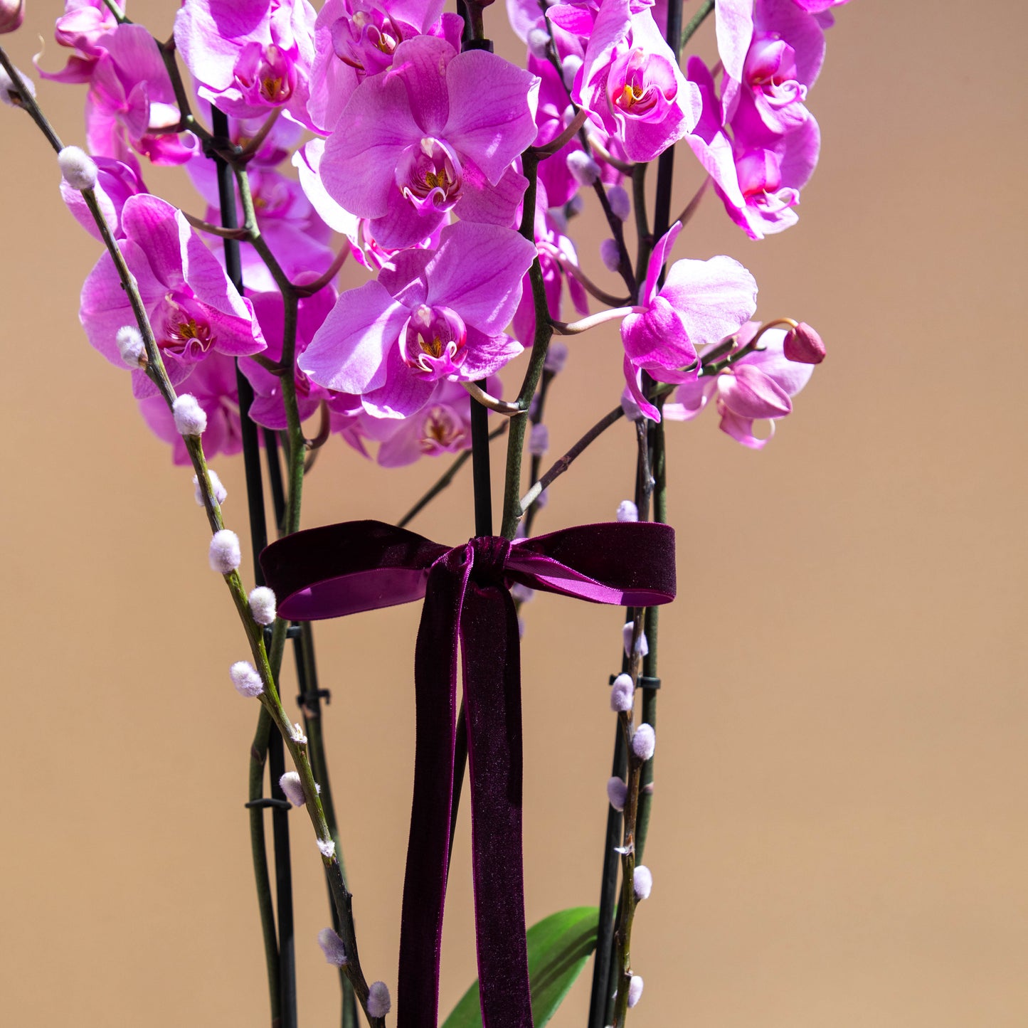 Purple Symphony