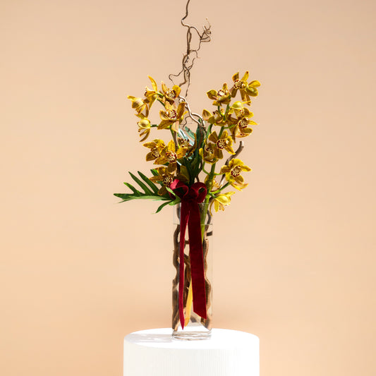 Ribbon Orchids