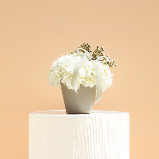 Ivory Shades