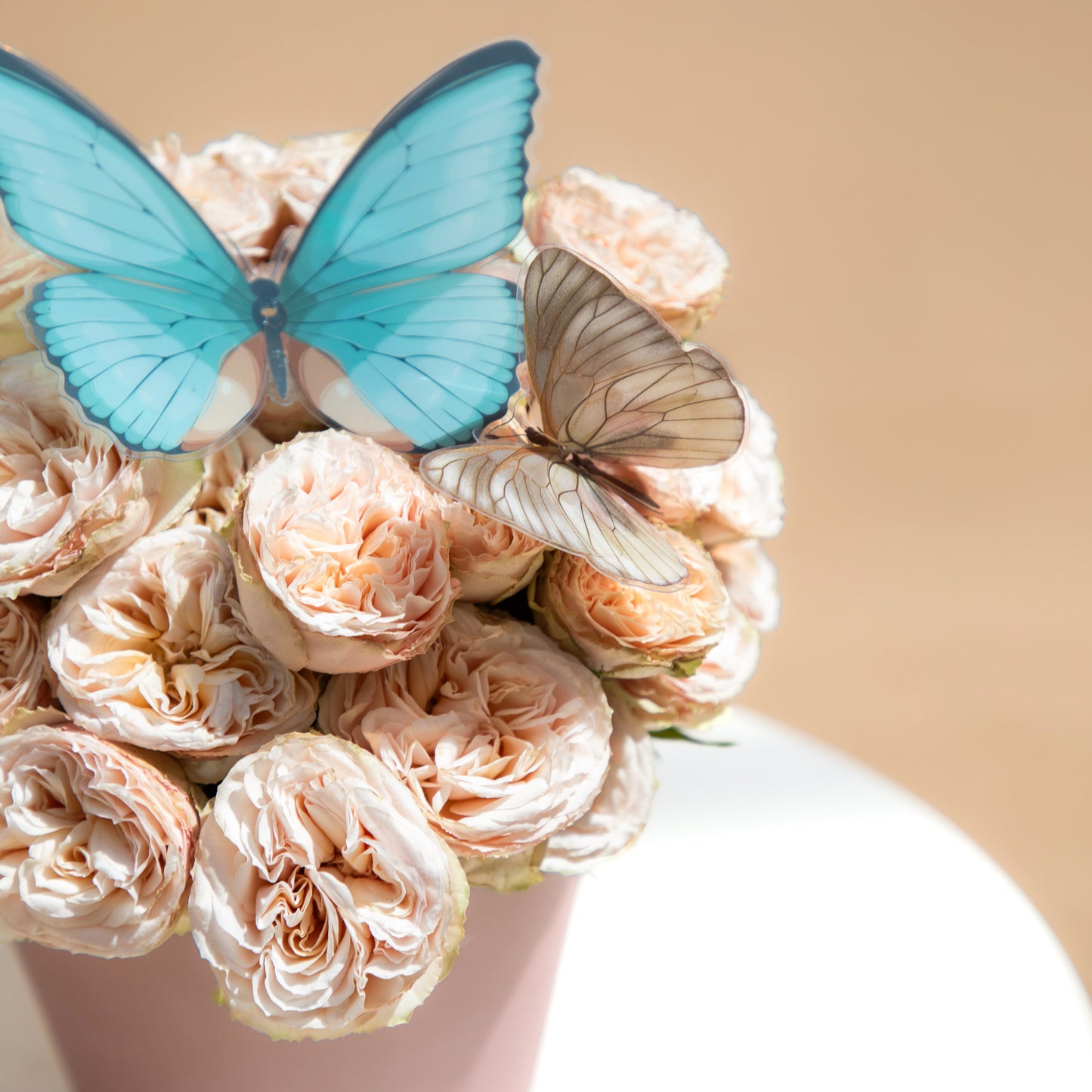 Rose Flutter