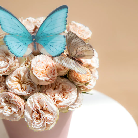 Rose Flutter