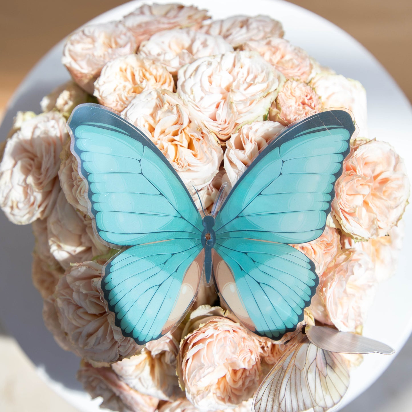 Rose Flutter