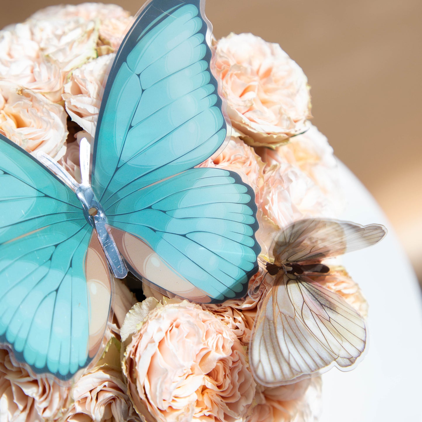 Rose Flutter