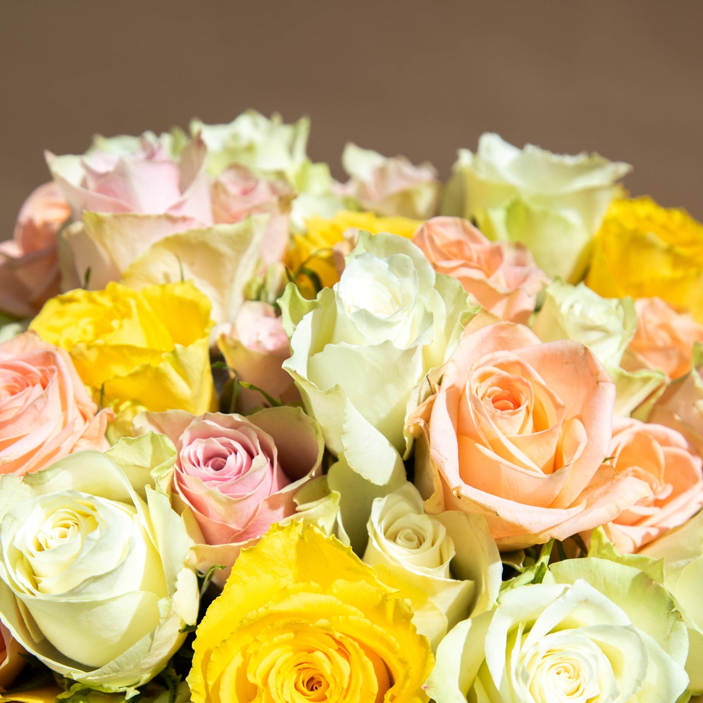 Pastel Jewels
