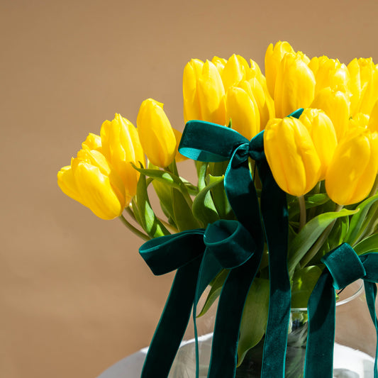 Sunny Tulips
