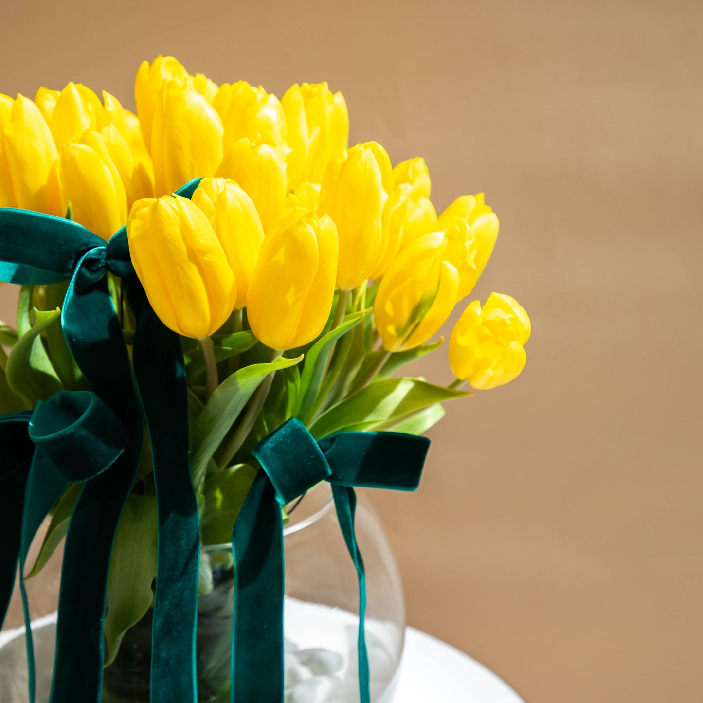 Sunny Tulips