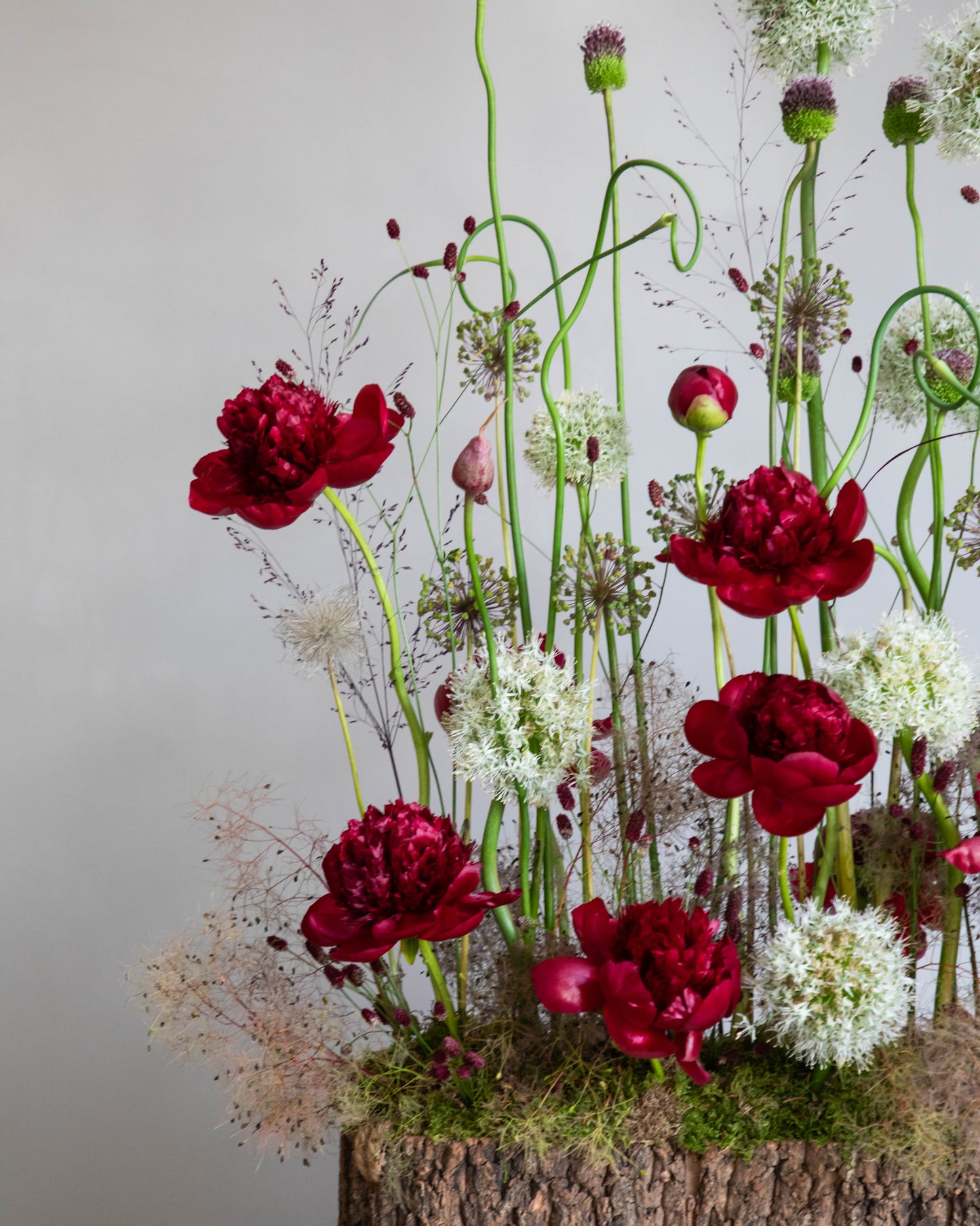 Crimson Garden