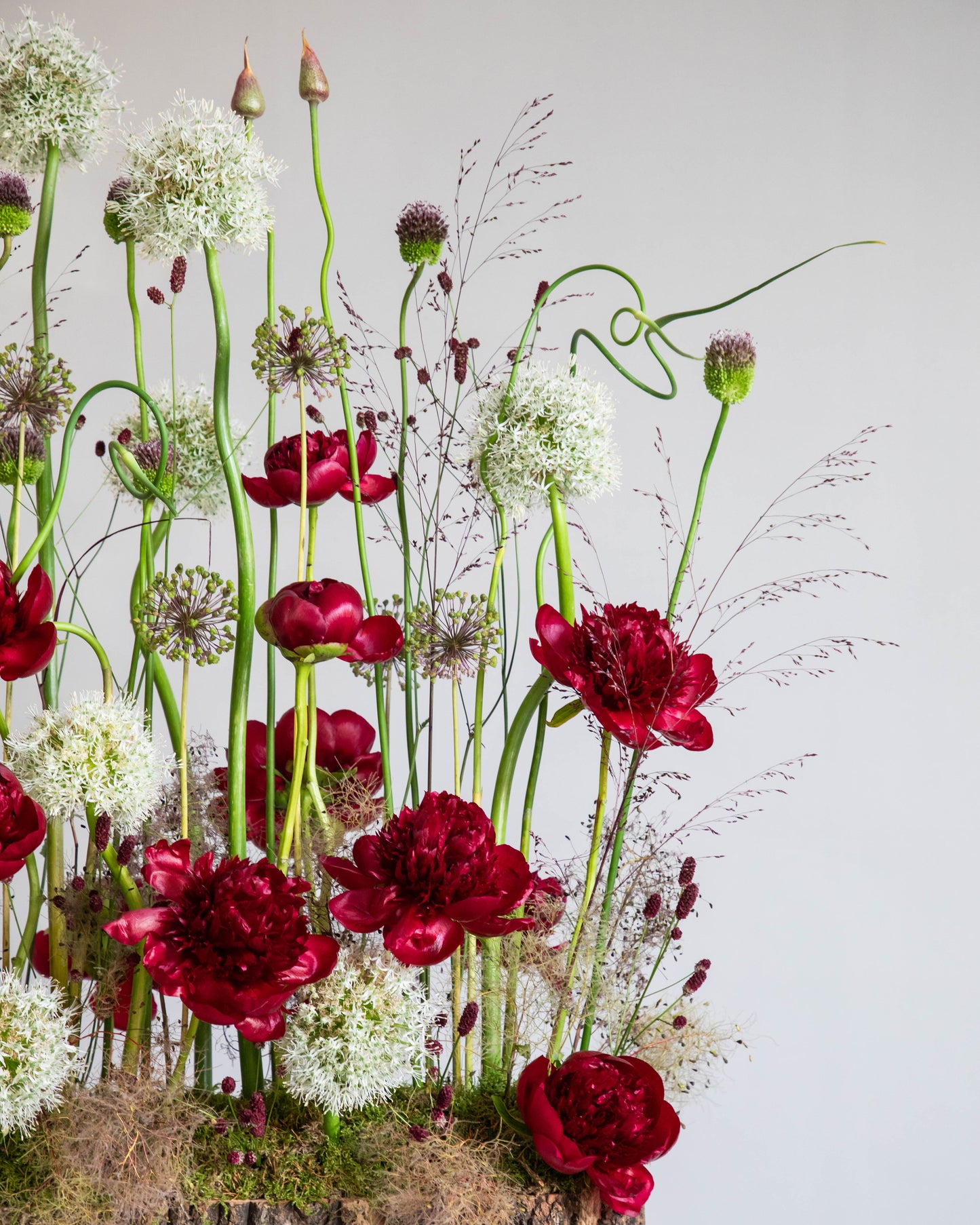Crimson Garden