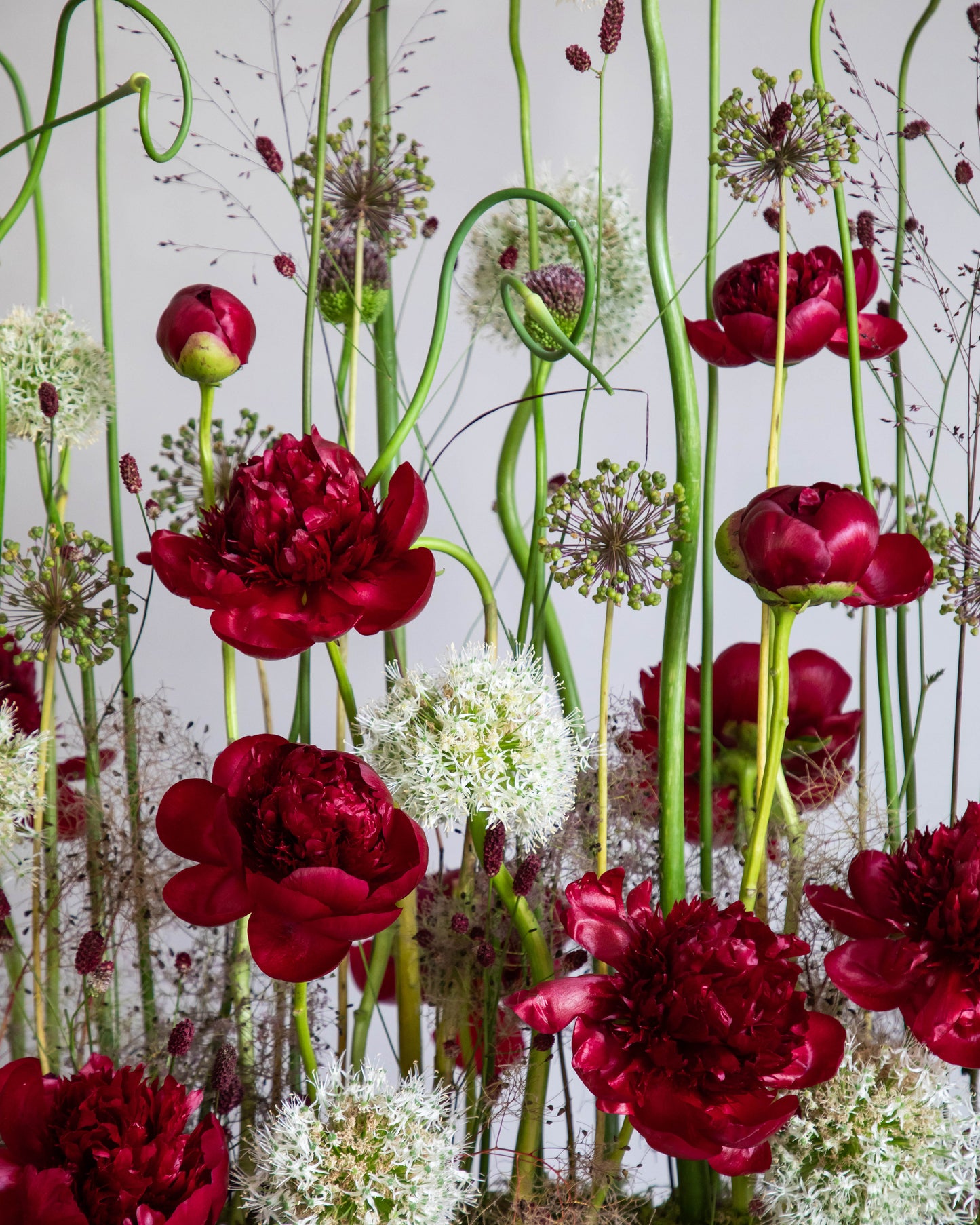Crimson Garden