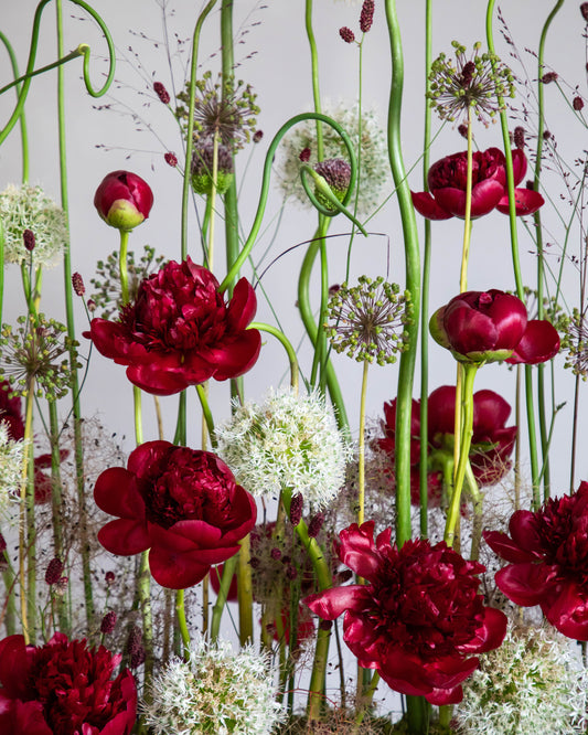 Crimson Garden