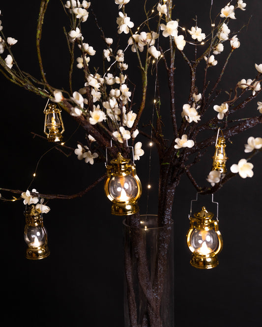 Cherry Blossoms & Lanterns