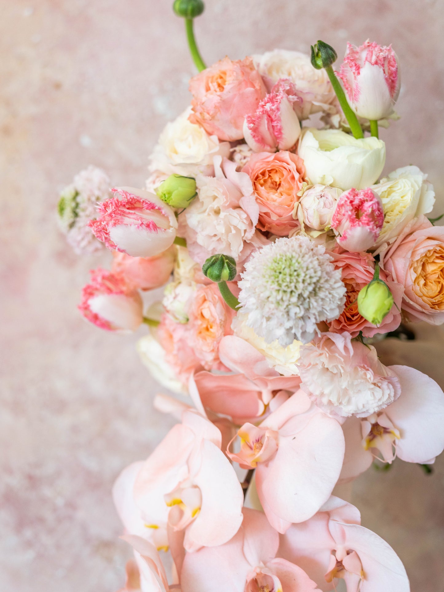 Peachy Hues