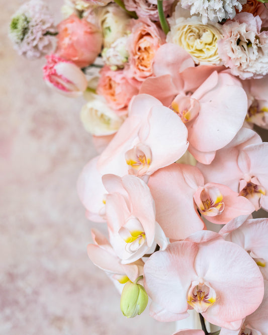 Peachy Hues