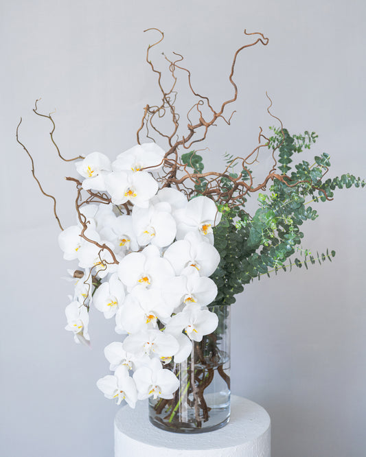 Orchid Branch
