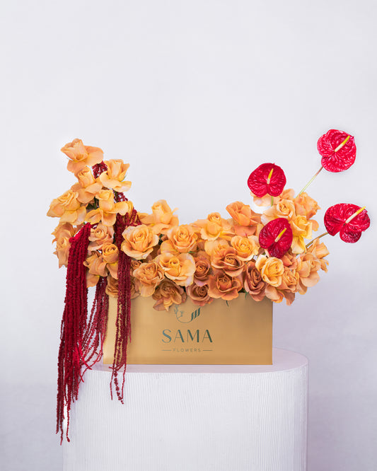 Anthurium Rose