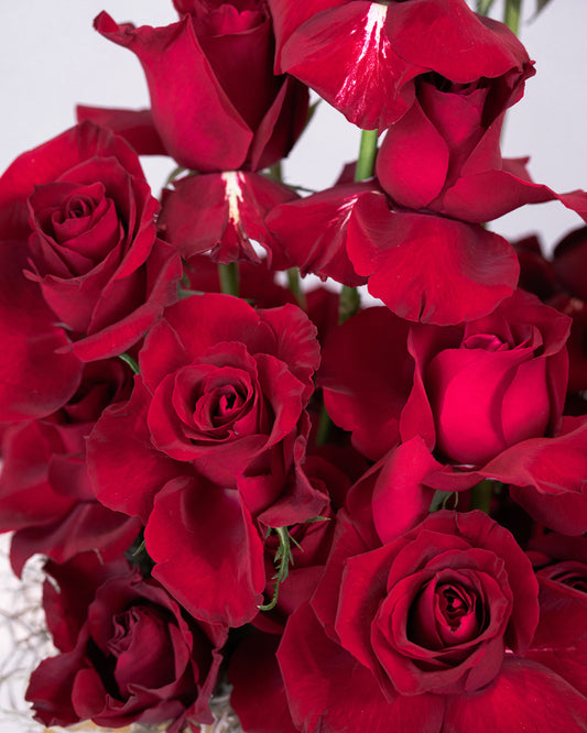 Box of Roses