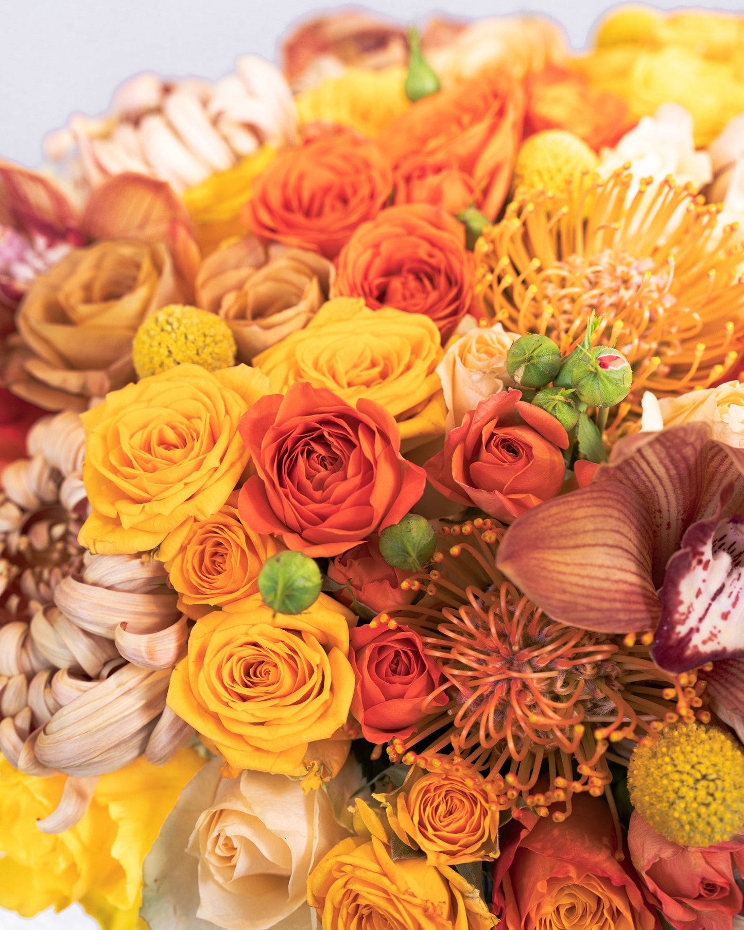 Fall Palette