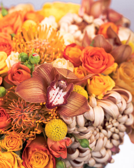 Fall Palette