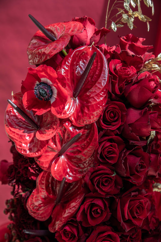 Ruby Radiance Flowerbomb